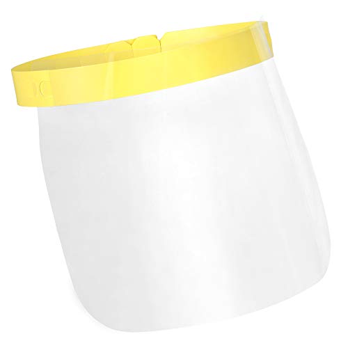 Regency Adult Transparent Protective Face Mask Shield- Pack of 50