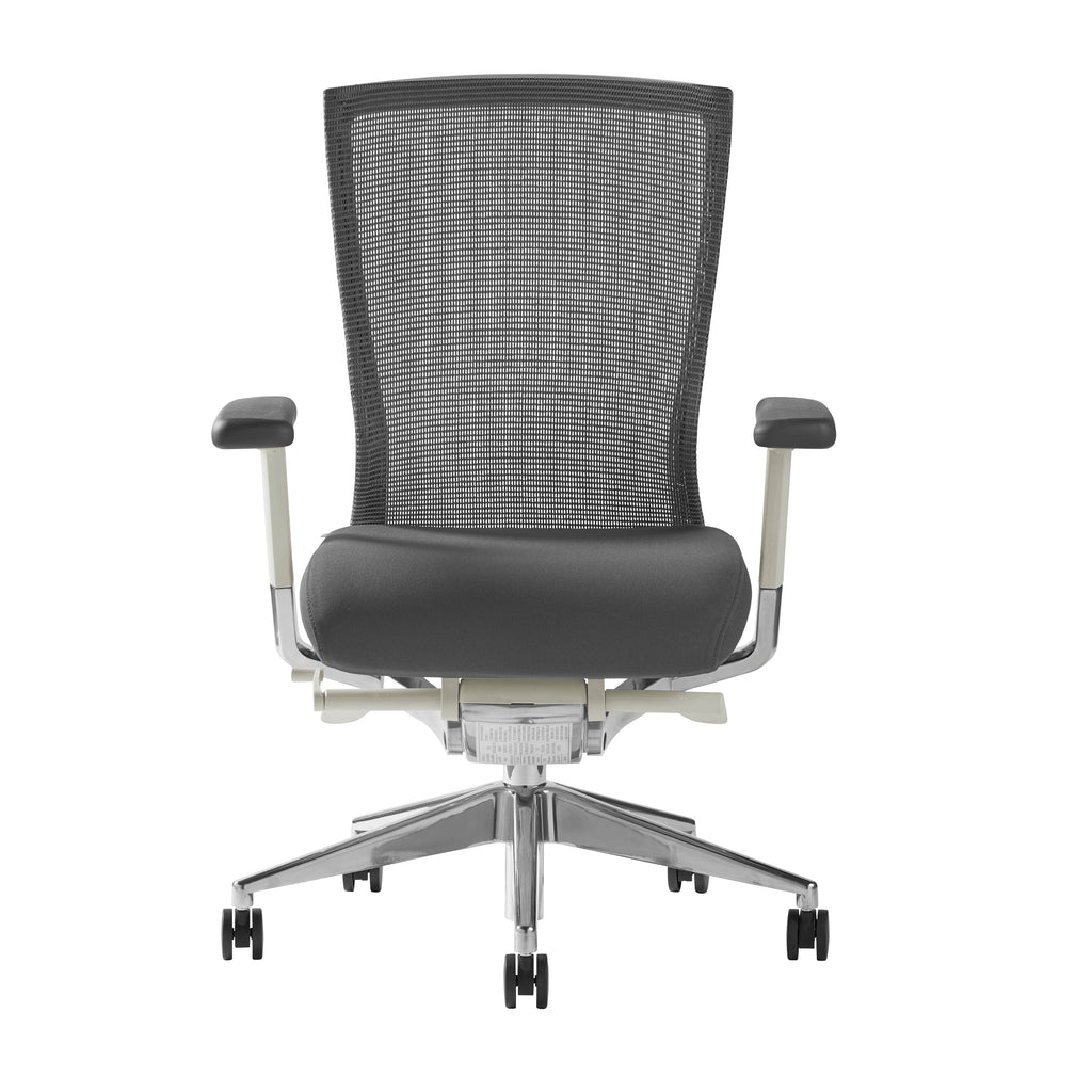 Gray/Polished Aluminum