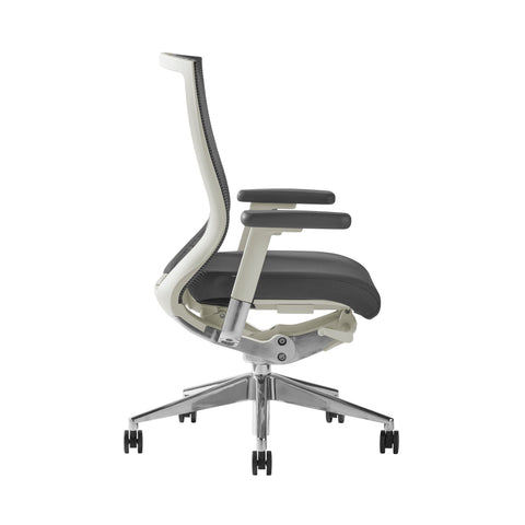 Gray/Polished Aluminum