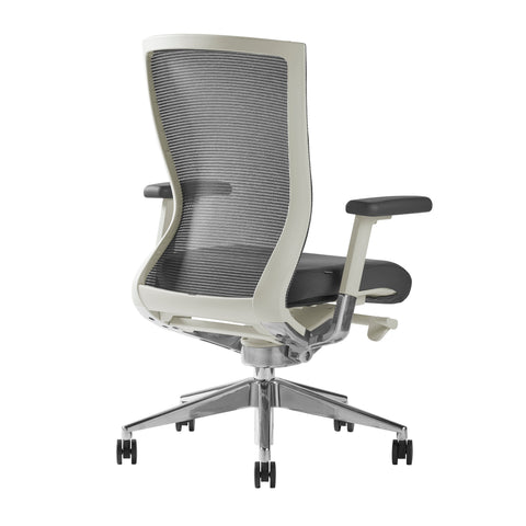 Gray/Polished Aluminum