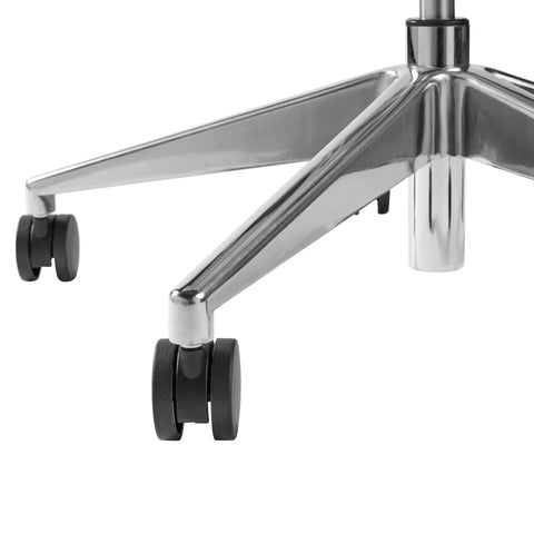 Gray/Polished Aluminum