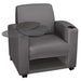 Grey / Lounge Chair with Storage