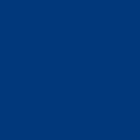 Blue / 60 10-Shelf Bookcase