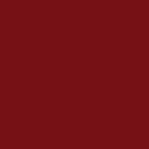 Red / 60 10-Shelf Bookcase