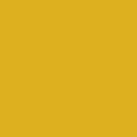 Yellow / 60 10-Shelf Bookcase