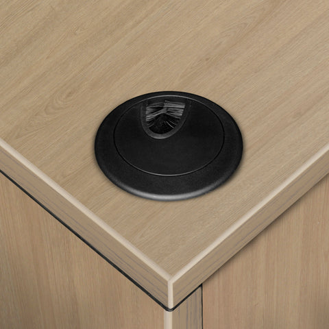 Noble Oak / 60 x 30